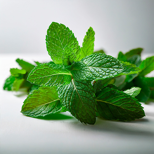 menta-grandall